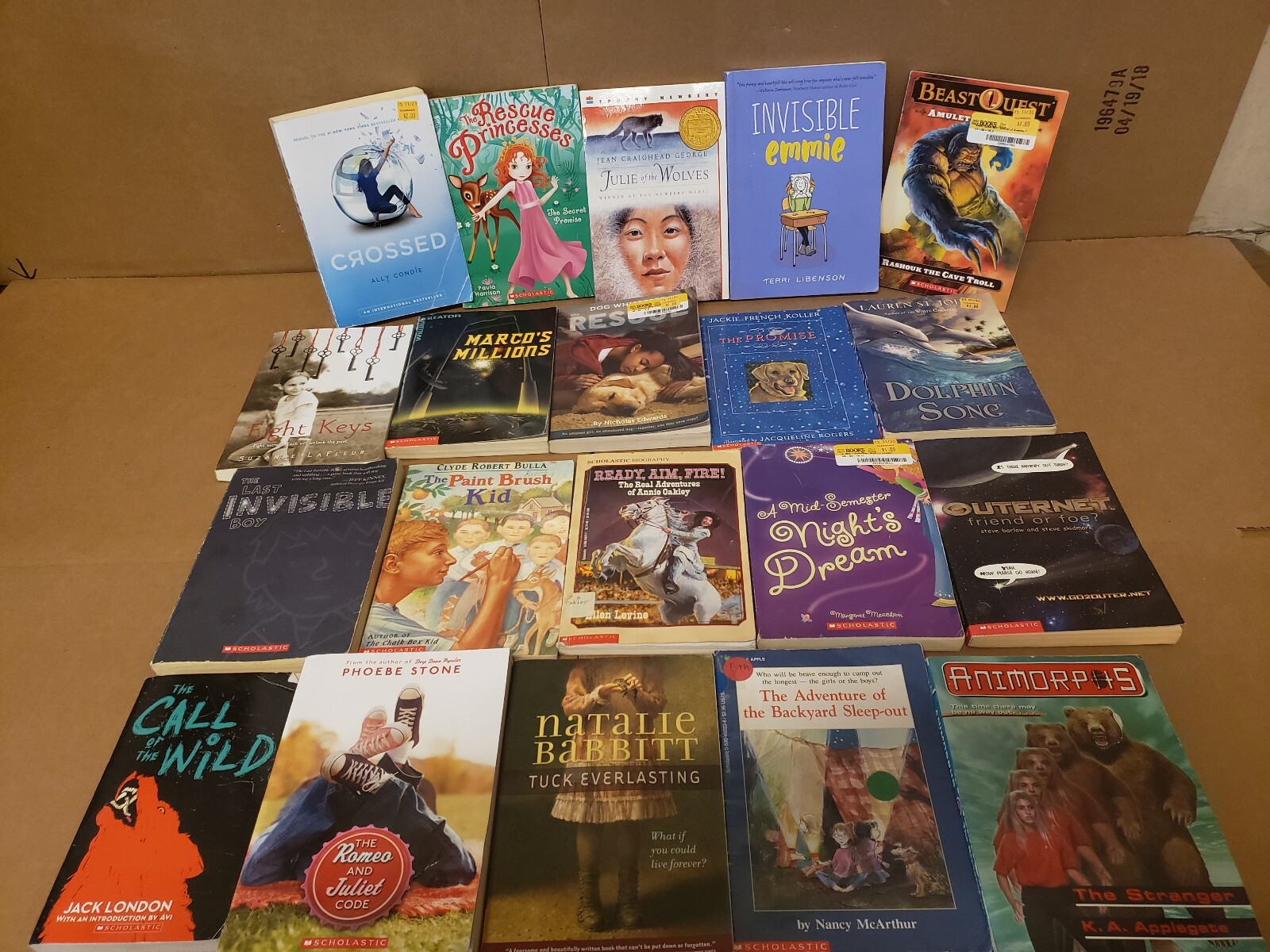 Lot of 50 Chapter INSTANT LIBRARY Children Young Adult RANDOM UNSORTED BOOKS MIX