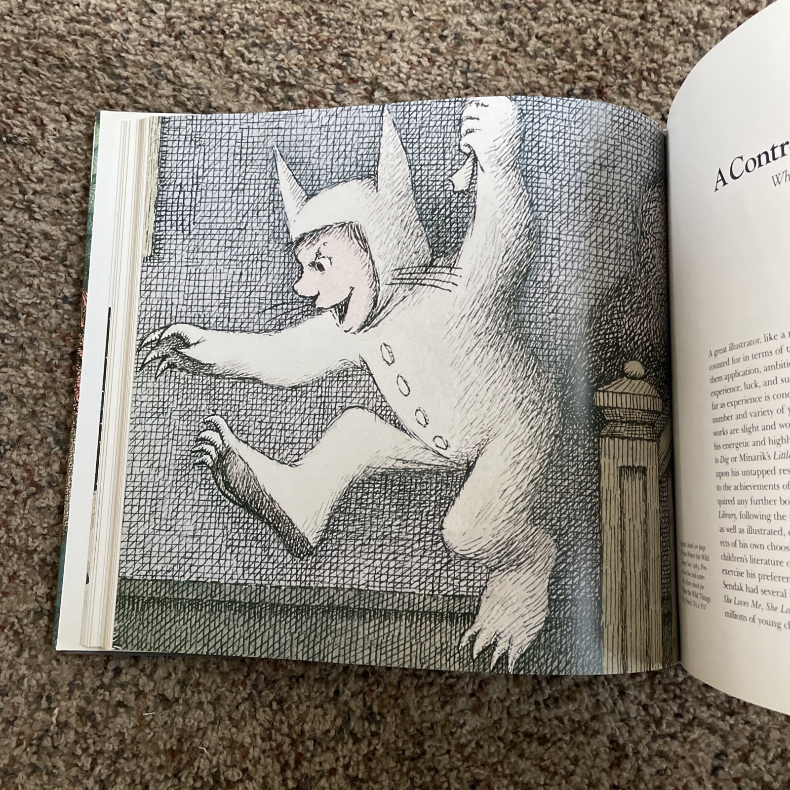 Art of Maurice Sendak by Selma G. Lanes (1998, Hardcover)