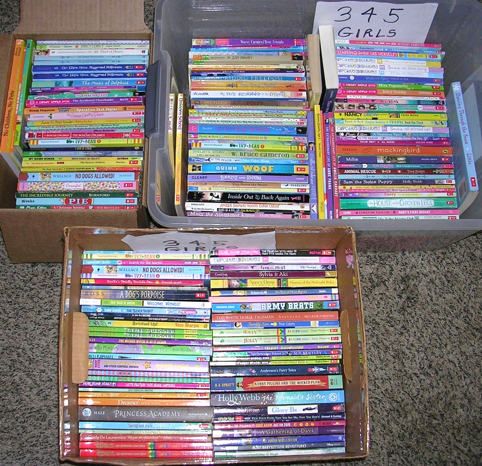 Random Lot 20 GIRLS Reading Level 3rd 4th 5th Grade Chapter Books FREE SHIP