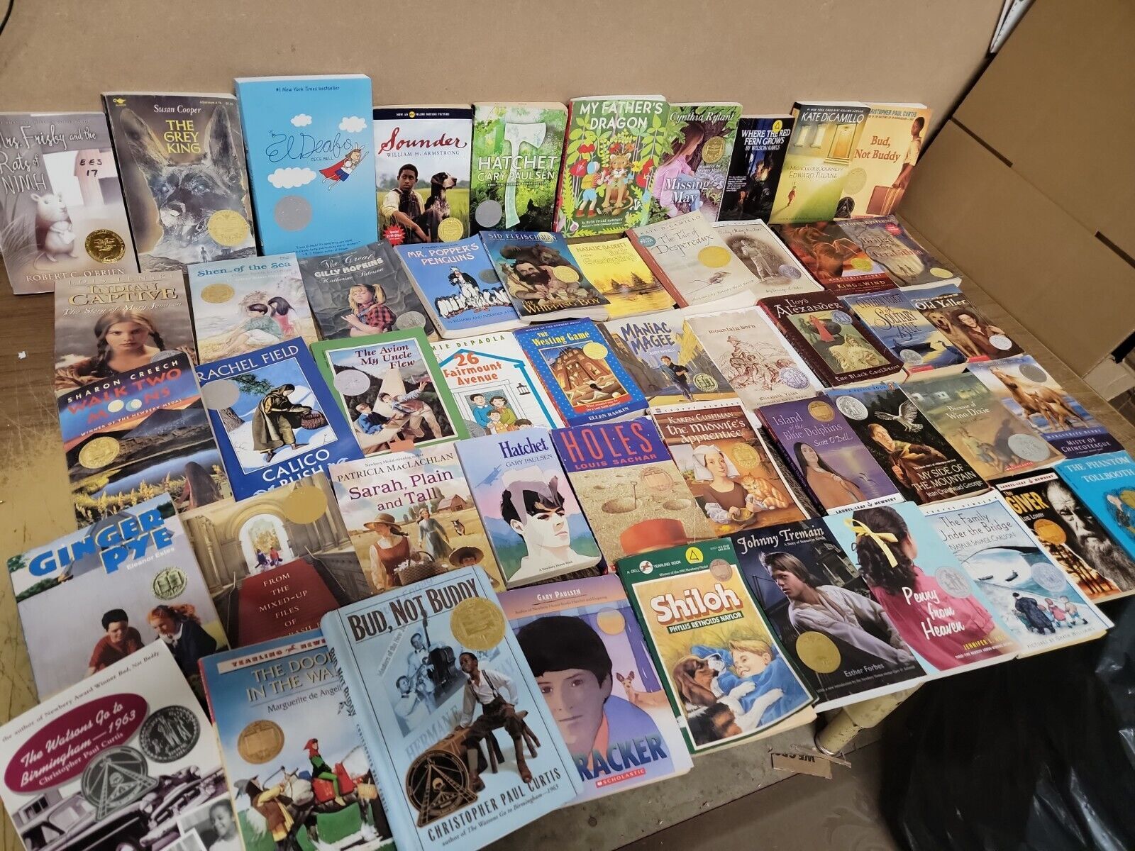 5 LBS (Pounds) Kids Children Books by Genre BOARD TODDLER CHAPTER STORYTIME SET