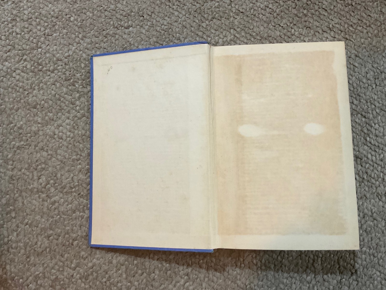 vintage Bishop Hannington book . missionary hero . W G Berry M.A. . 184 pages