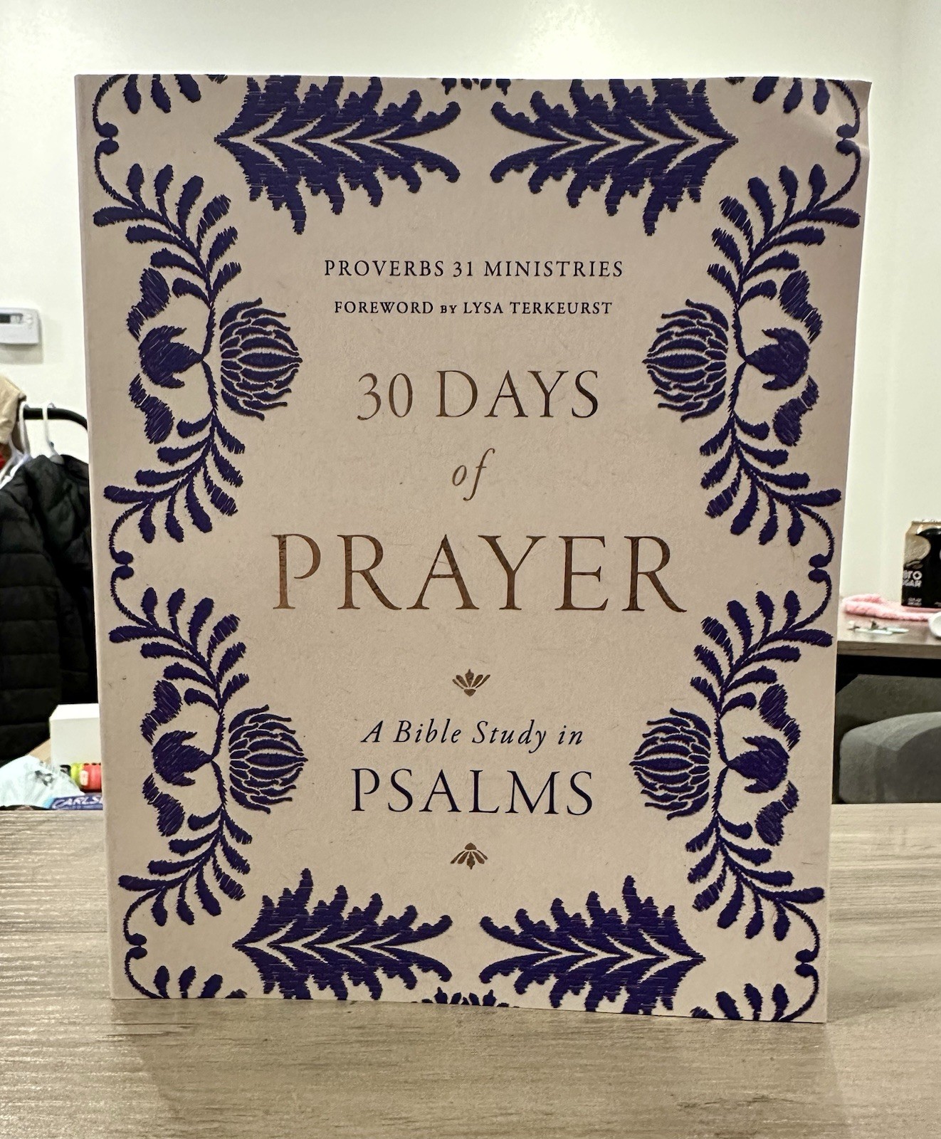 30 Days Of Prayer: A Bible Study In Psalms, Lysa Terkeurst Religion BRAND NEW