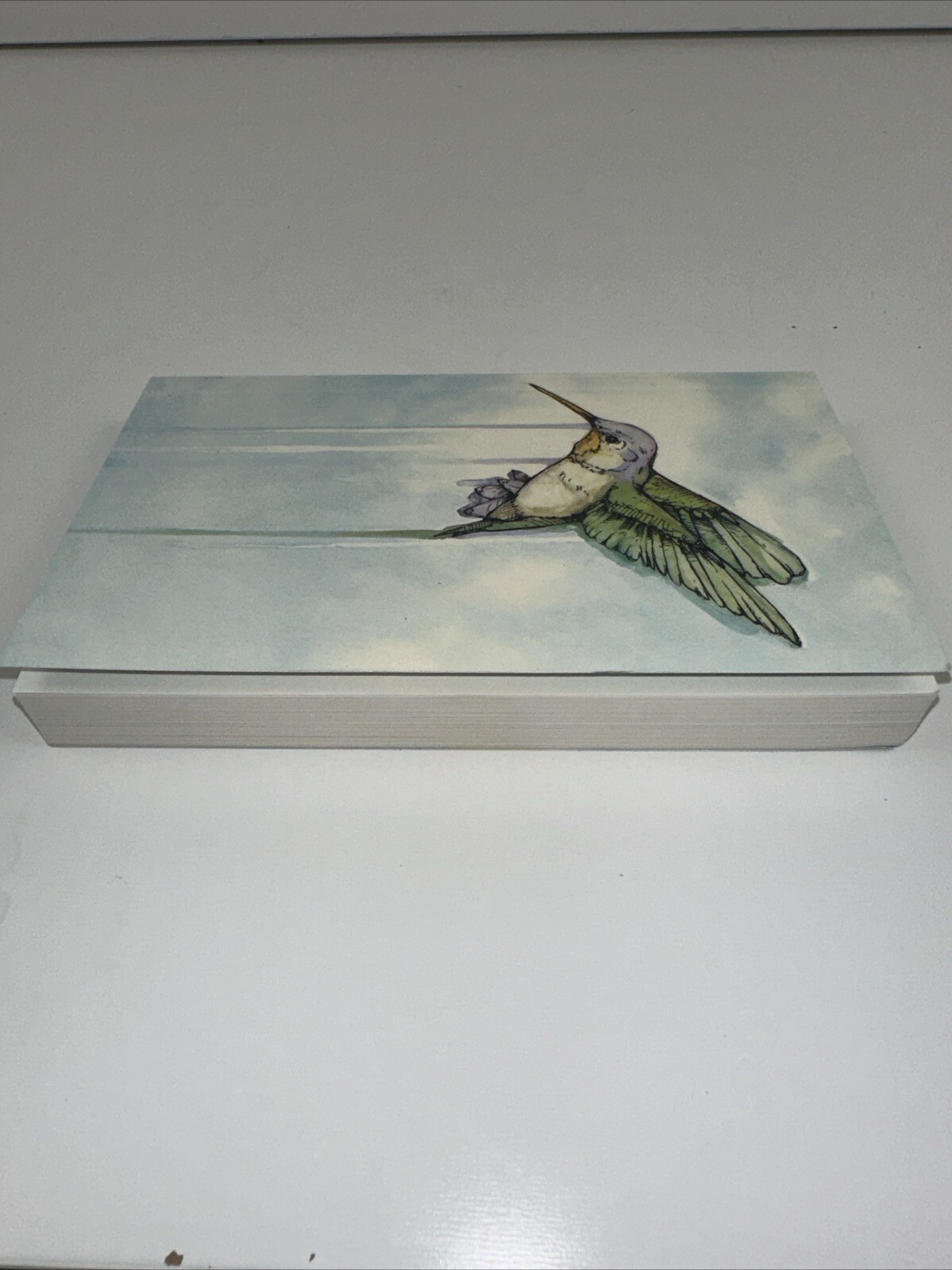 Hummingbird: Essays [Genuine Rare Bird Book] by Angelini, Jude paperback Book
