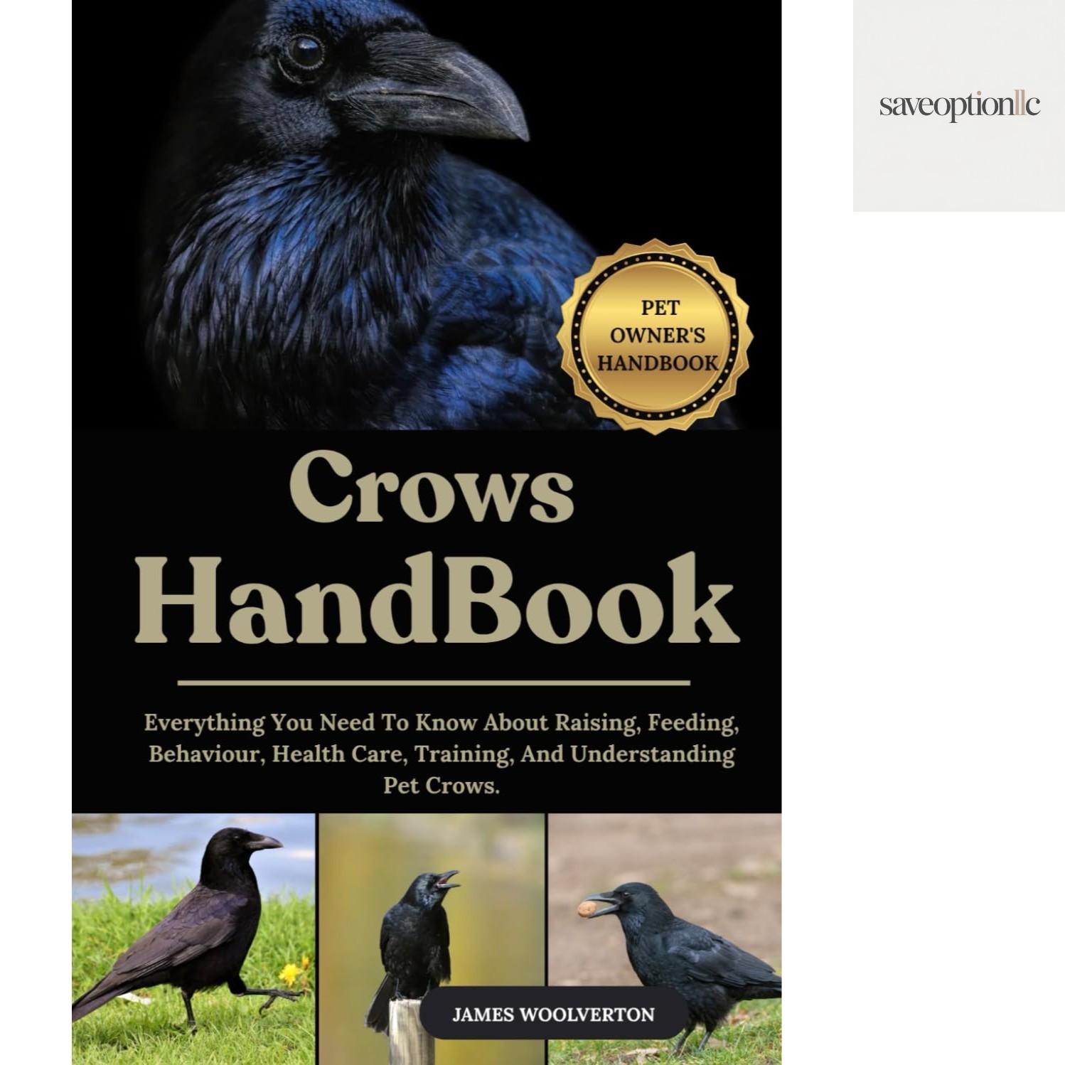 Your Complete Guide to Pet Crows: Training, Health Care, and Behavior Insights