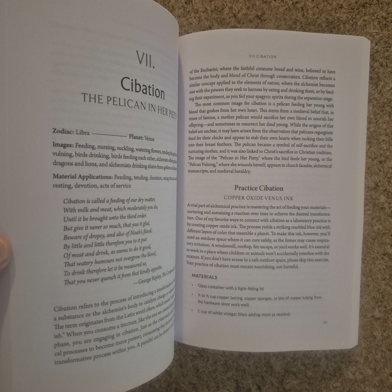 Eliza Swann The Alchemical Imagination (Paperback) 2026 New Age Holistic