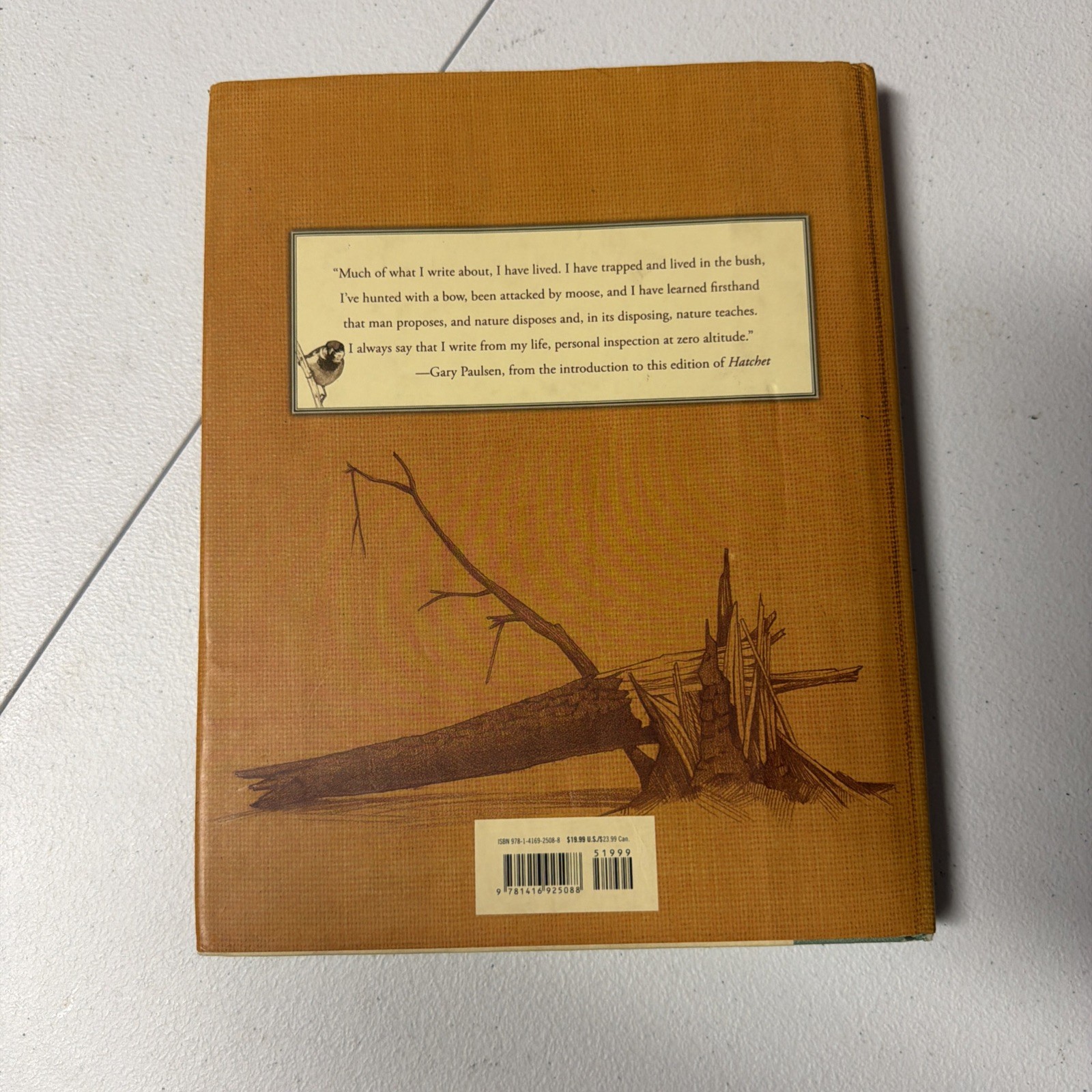 Hatchet by Gary Paulsen 20th Anniversary Edition 2007. Cond-acceptable