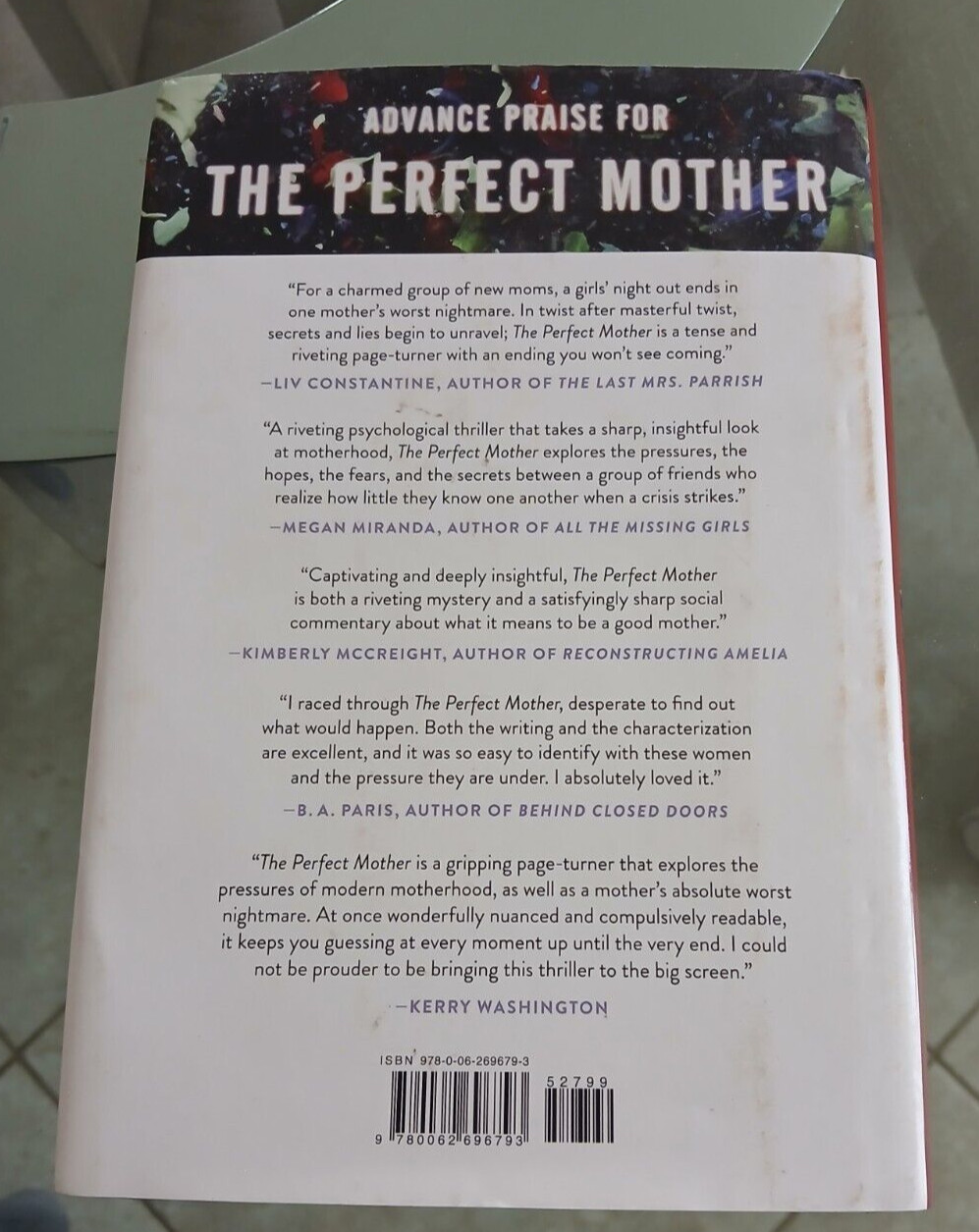 The Perfect Mother By Aimee Molloy Hardcover 317 Pages