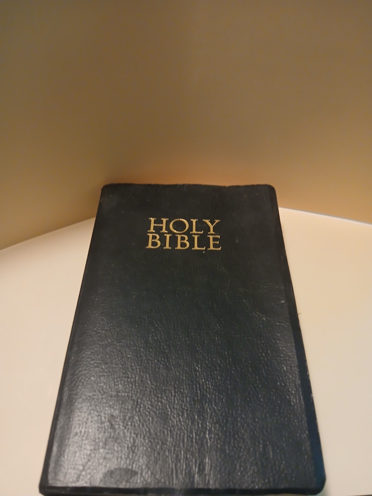 Thomas Nelson Bible Holy Bible NKJV New King James Version Leather Bound