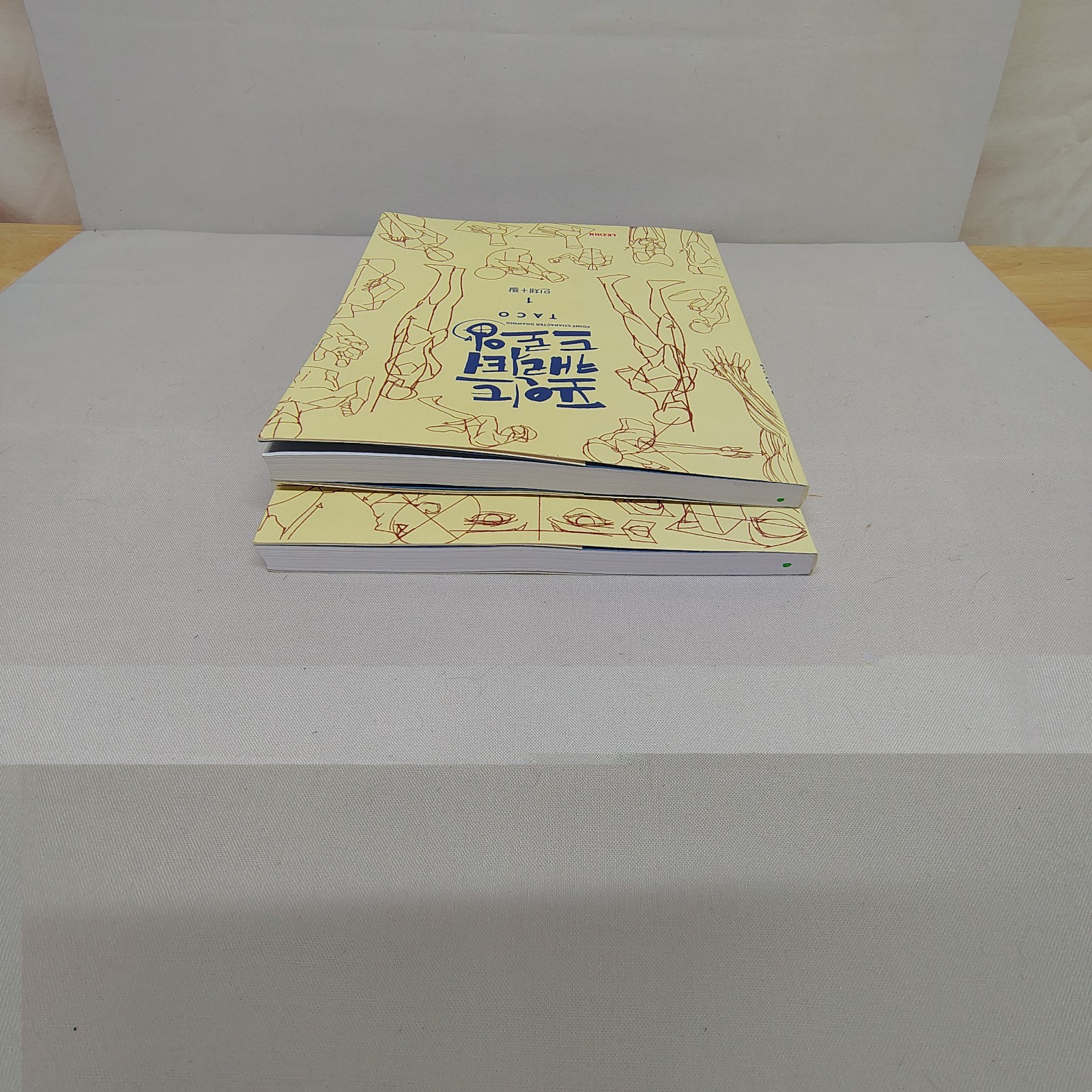 Point Character Drawing Vol 1 & 2 TACO Korean Art Anatomy Manga Drawing Books