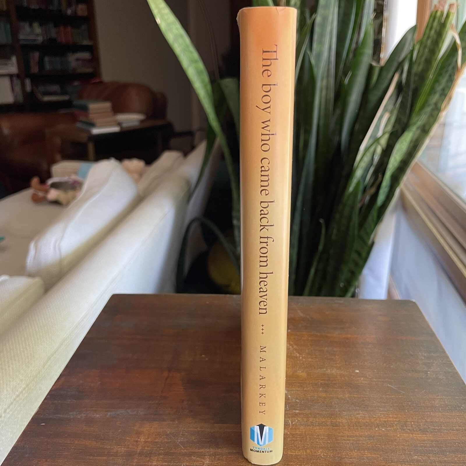 The Boy Who Came Back from Heaven : A Remarkable Account of Miracles, Angels,…