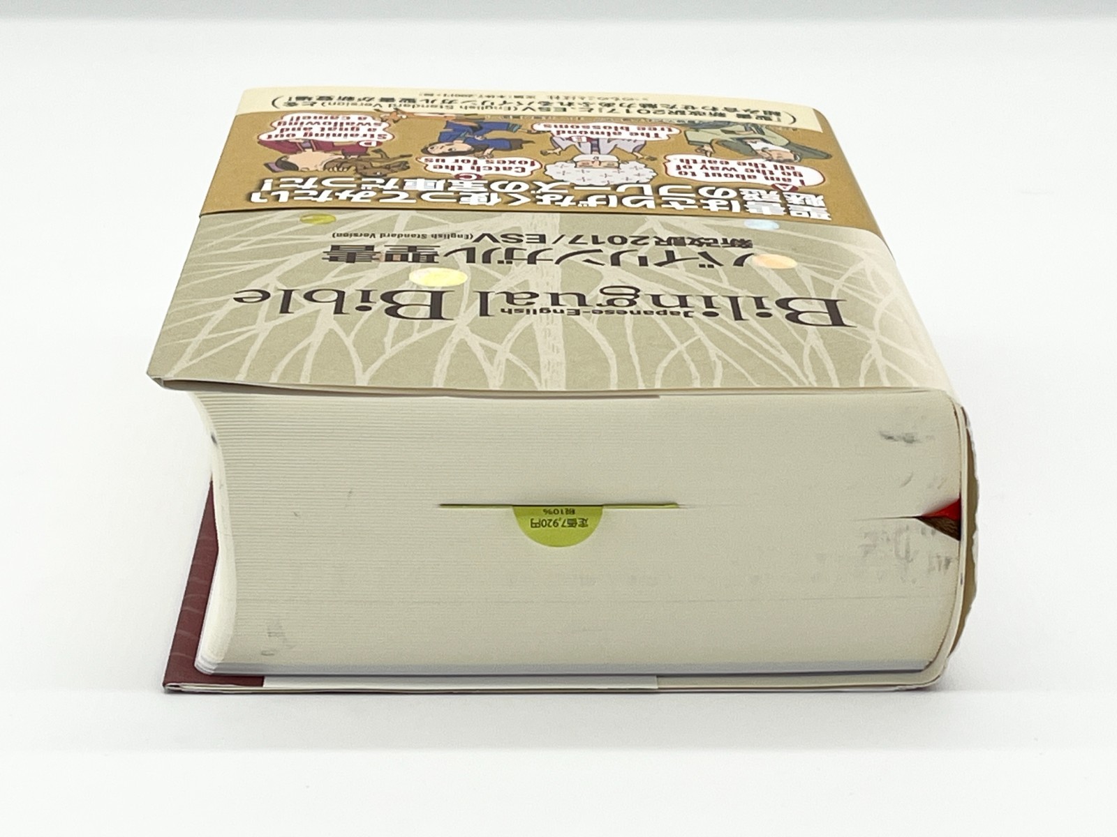 Bilingual Bible Japanese English Old New Testament ESV 2017 Word of Life Press