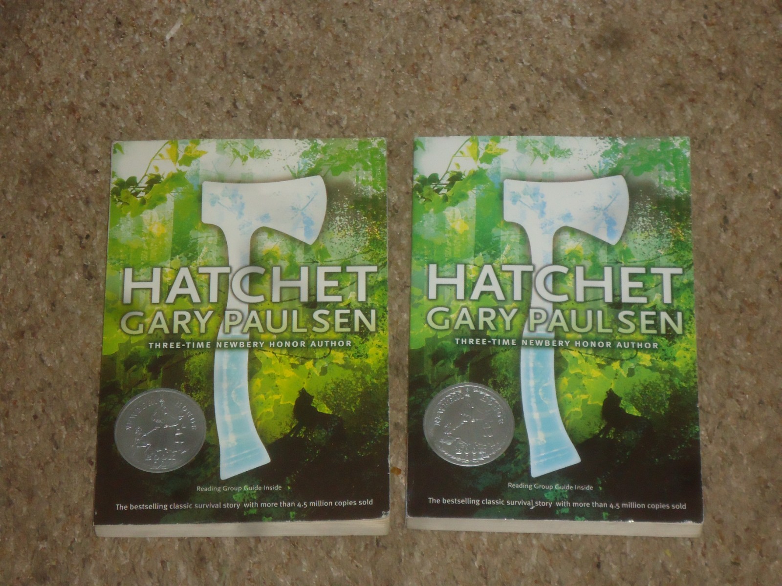 Lot 20 Hatchet Books Teacher Class Set Gary Paulsen Guided Reading