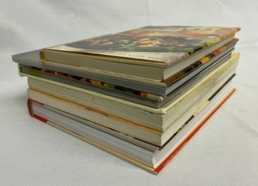 Vegetarian Grains Beans Pizza Cookbook Lot of 6 Everyday in Every Way Cooking