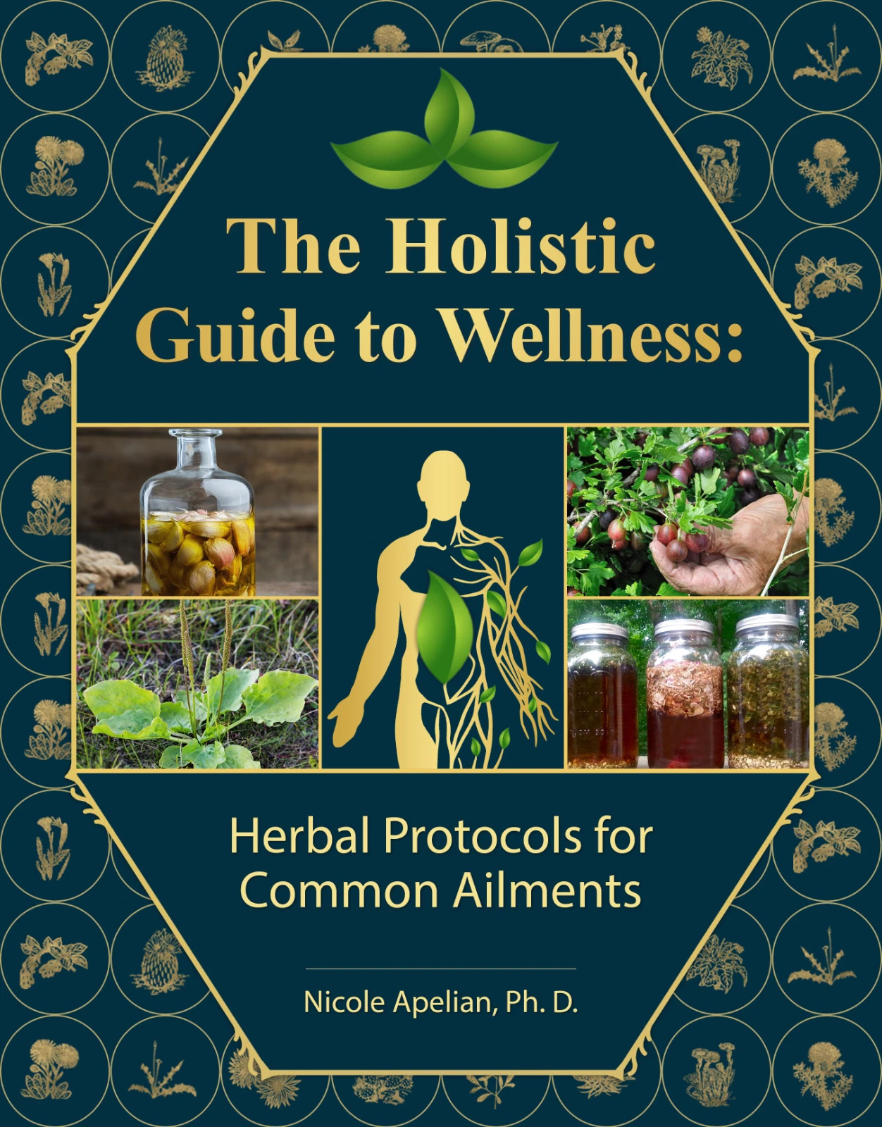 The Holistic Guide to Wellness by Nicole Apelian English Paperback Book