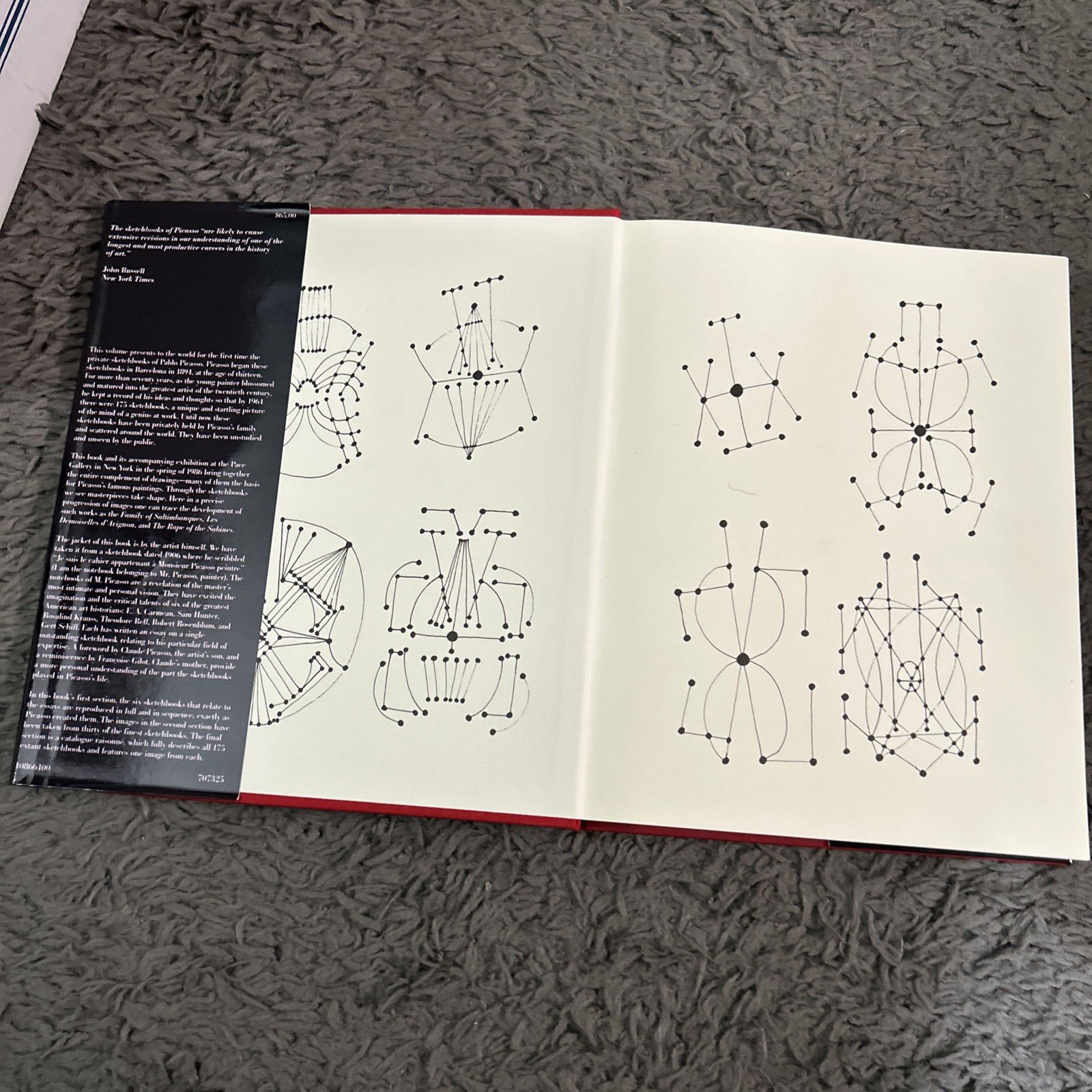 Je Suis Le Cahier The Sketchbooks of Picasso HC/DJ. 1st Ed 1986