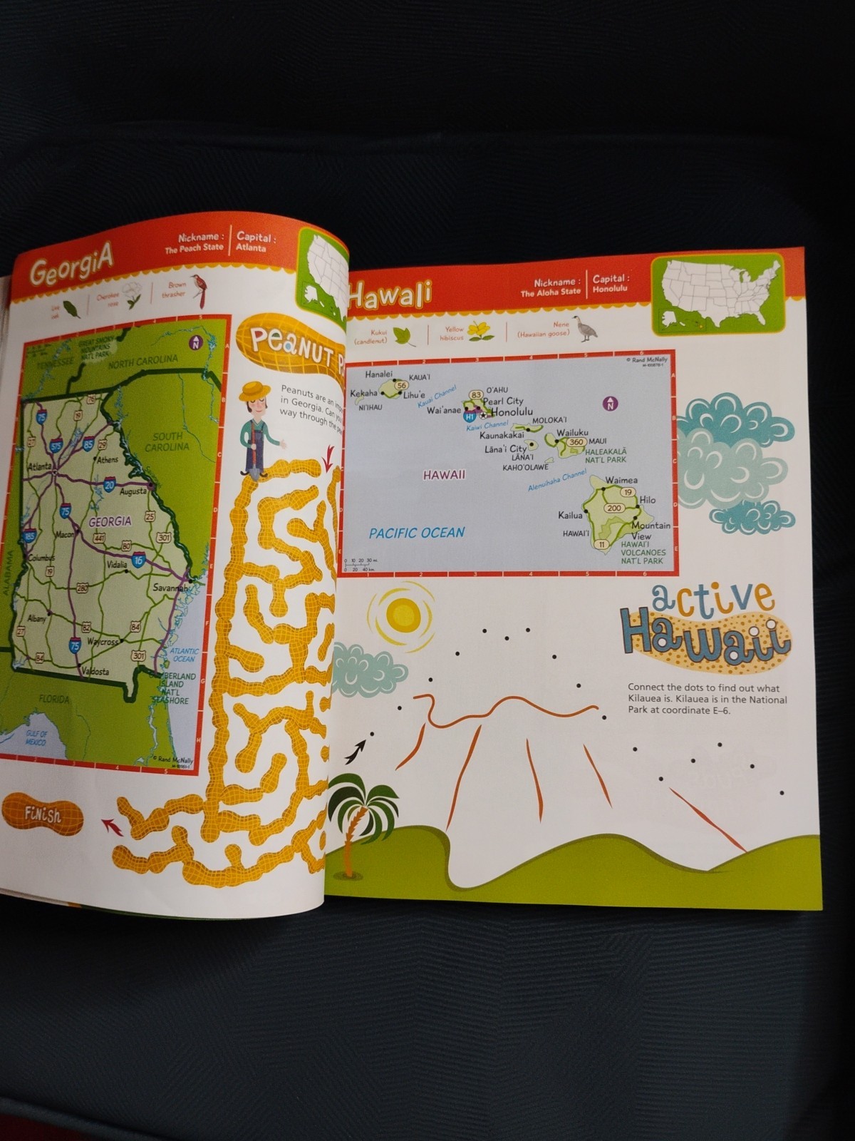 THE ULTIMATE BACKSEAT BOOK (2016) Hours of fun for kids on the road! 200+ Pages