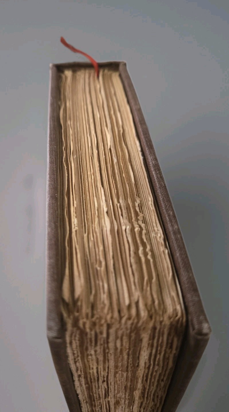 1902 The Robbers by Friedrich Schiller Luxury Edition #15 of 1,000