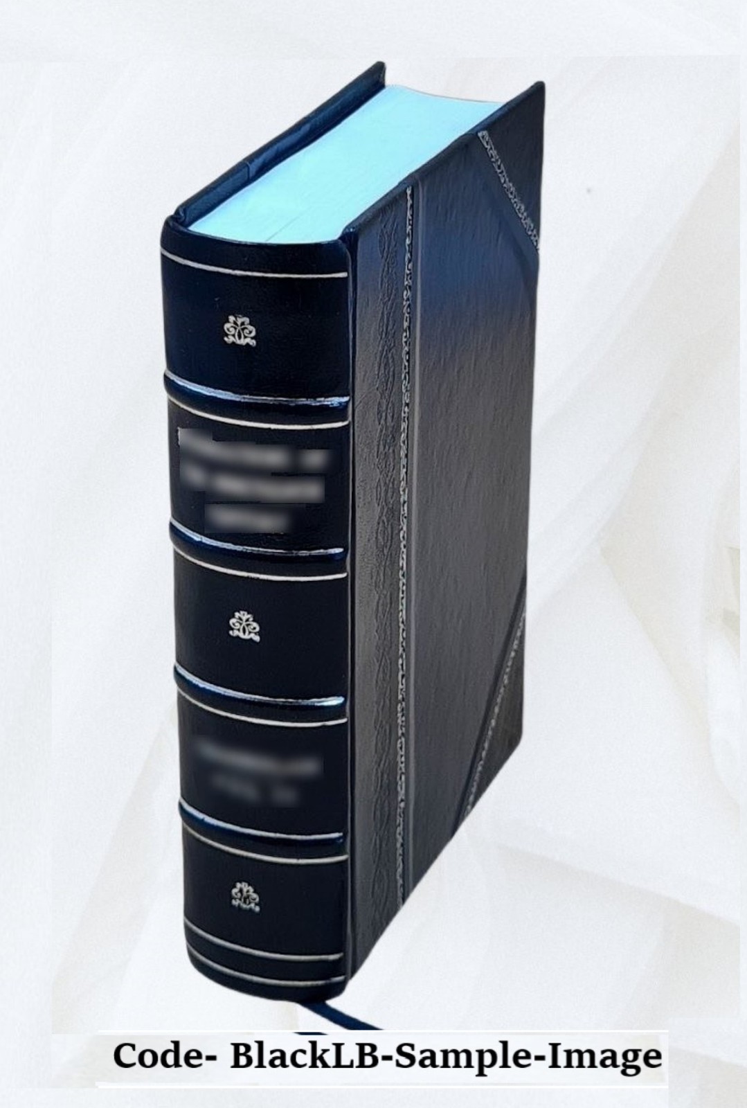 Autobiography Collateral Reminiscences, Arguments In Important C [Leather Bound]