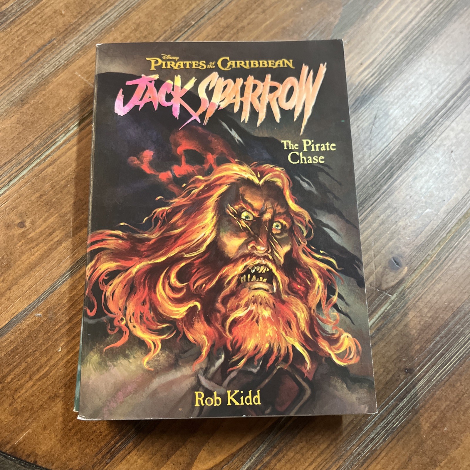 Lot Of 9 Jack Sparrow Books Books #1-9 Disney Press Series Set PB Kidd Pirates