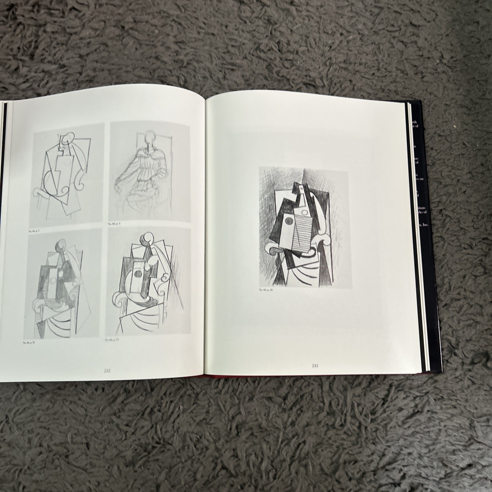 Je Suis Le Cahier The Sketchbooks of Picasso HC/DJ. 1st Ed 1986