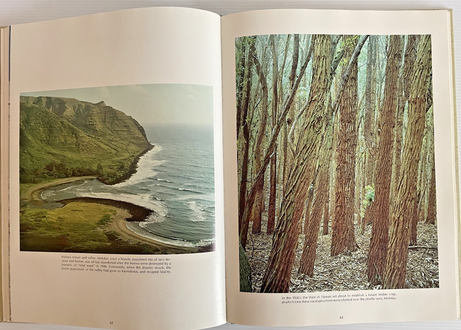 Eternal Hawaii Hardcover Book by Aaron Dygart 128 Pages 1976