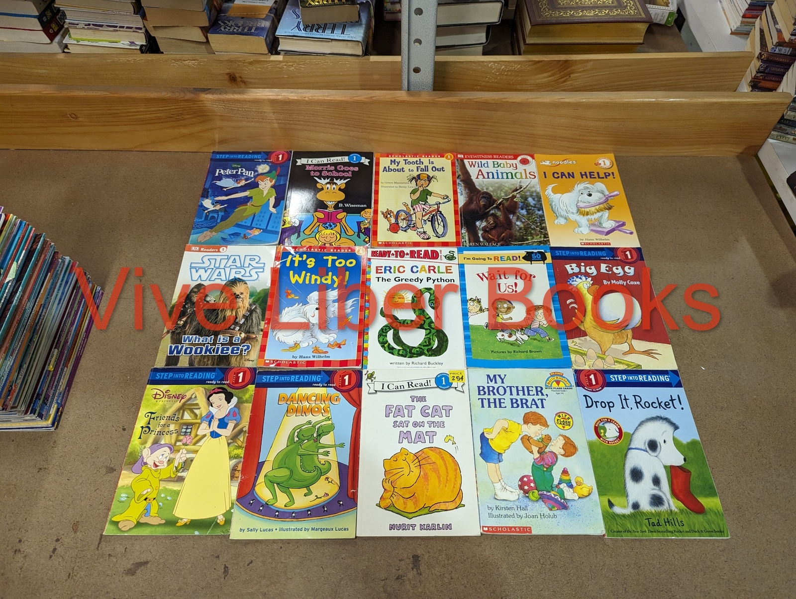 Huge Lot of 100 Step Into Reading Level 1 2 3 Books – My First – I Can Read MIX