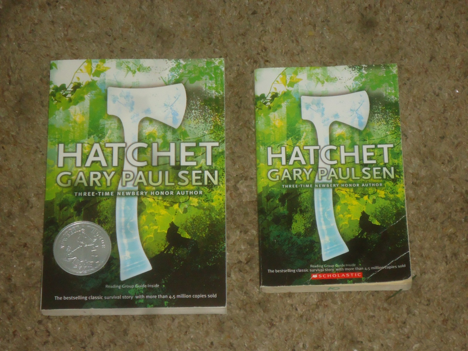 Lot 20 Hatchet Books Teacher Class Set Gary Paulsen Guided Reading
