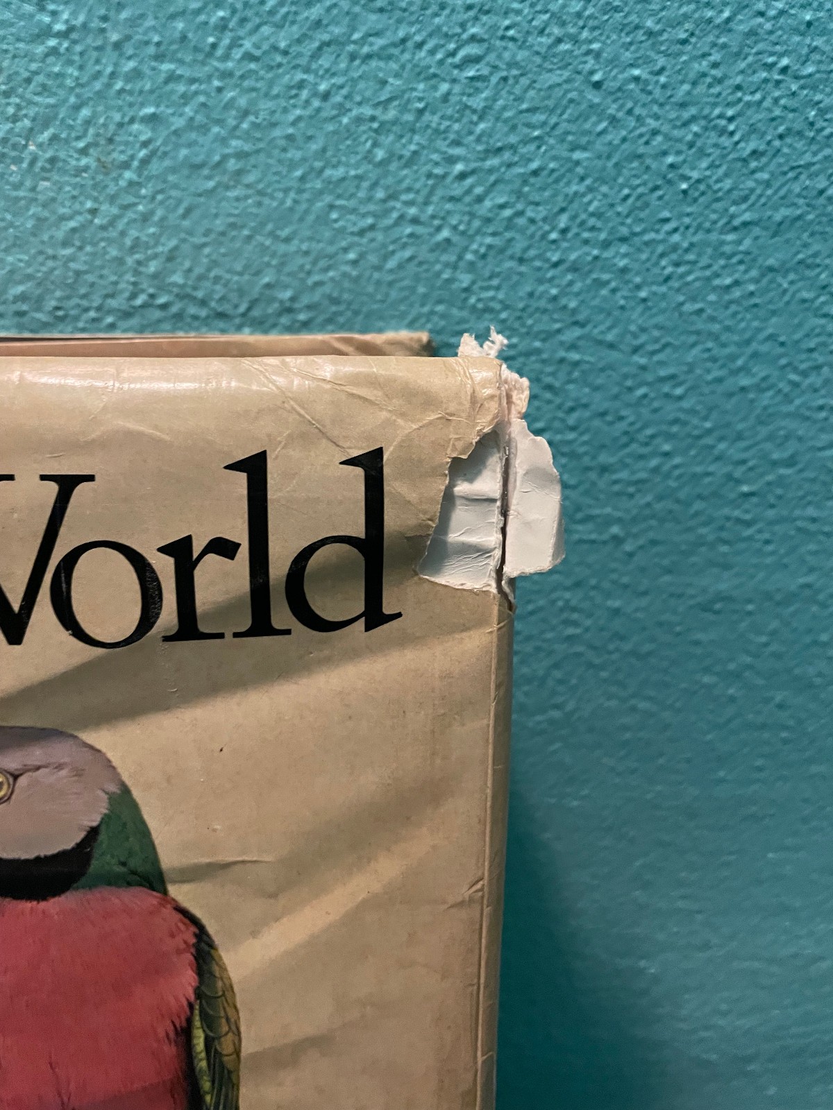 PARROTS OF THE WORLD Forshaw/Cooper 1973 First Edition ISBN 0385056281