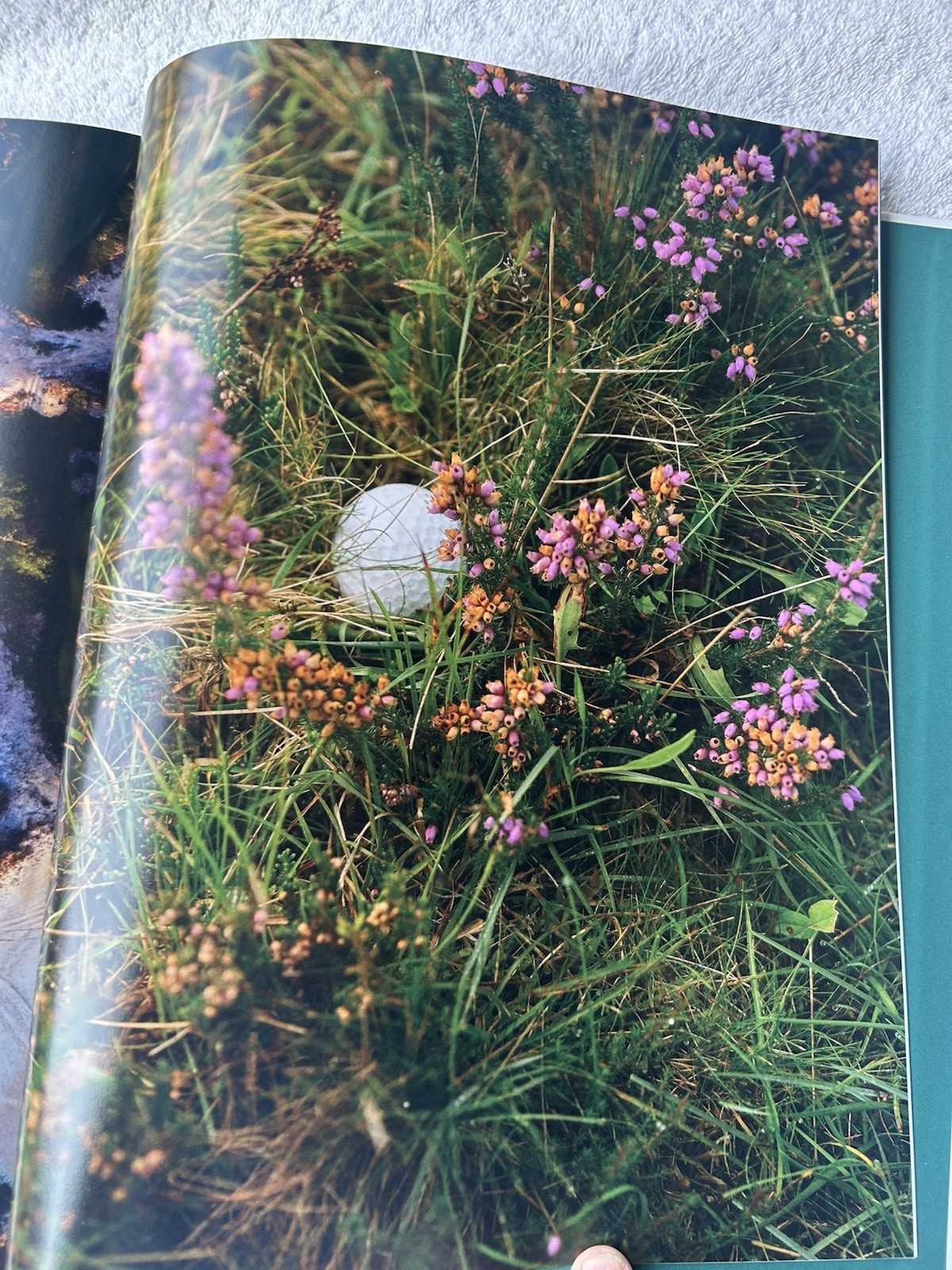 The Golfer’s Journal Quiet Please Coffee Table Book Premium Member Gift
