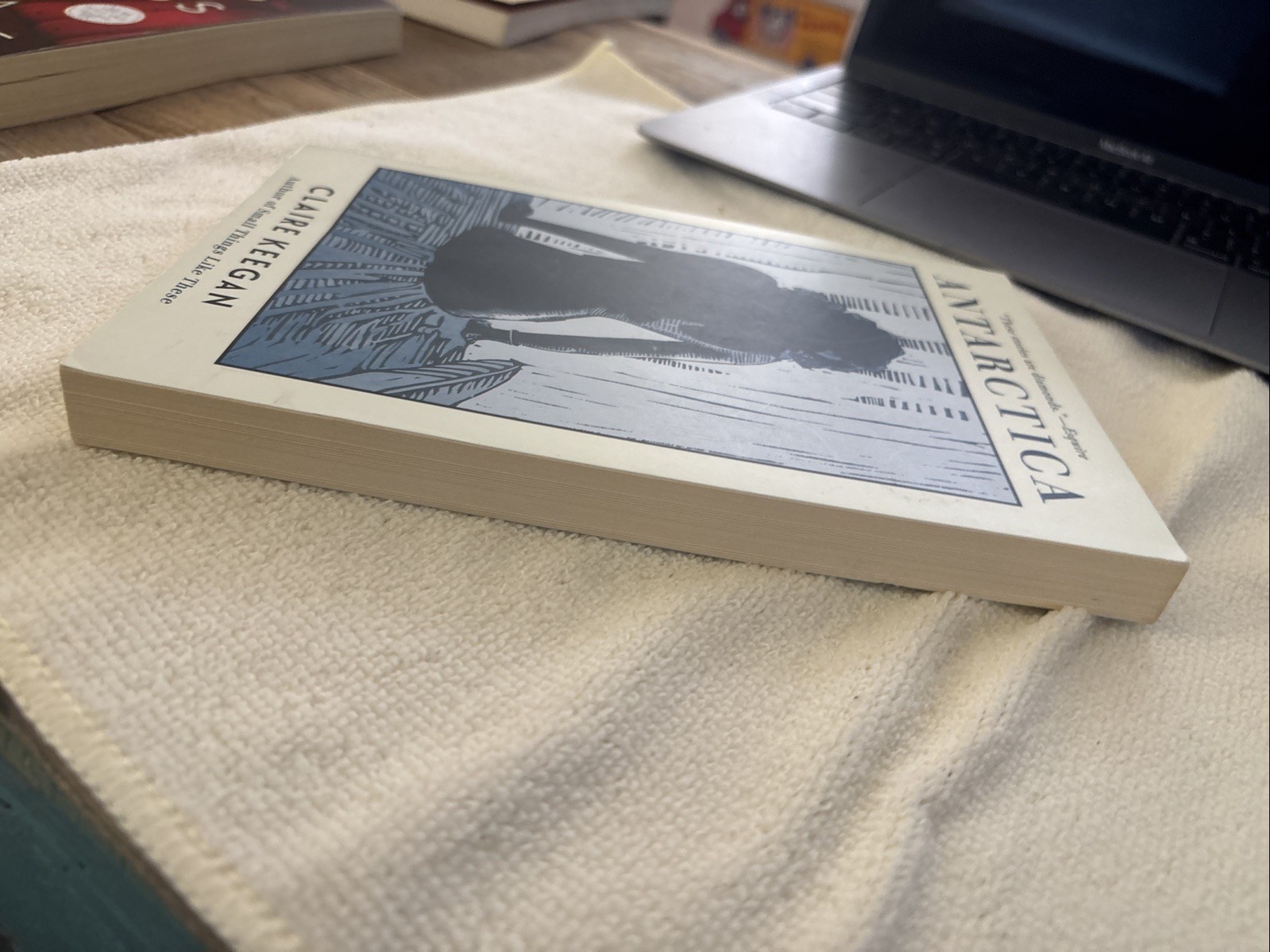 Antarctica By Claire Keegan. 1999, PB