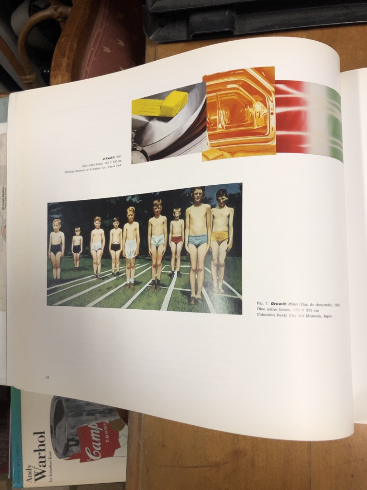 James Rosenquist Spanish IVAM Exhibition Book – 1991 – 200+ pages Artist work