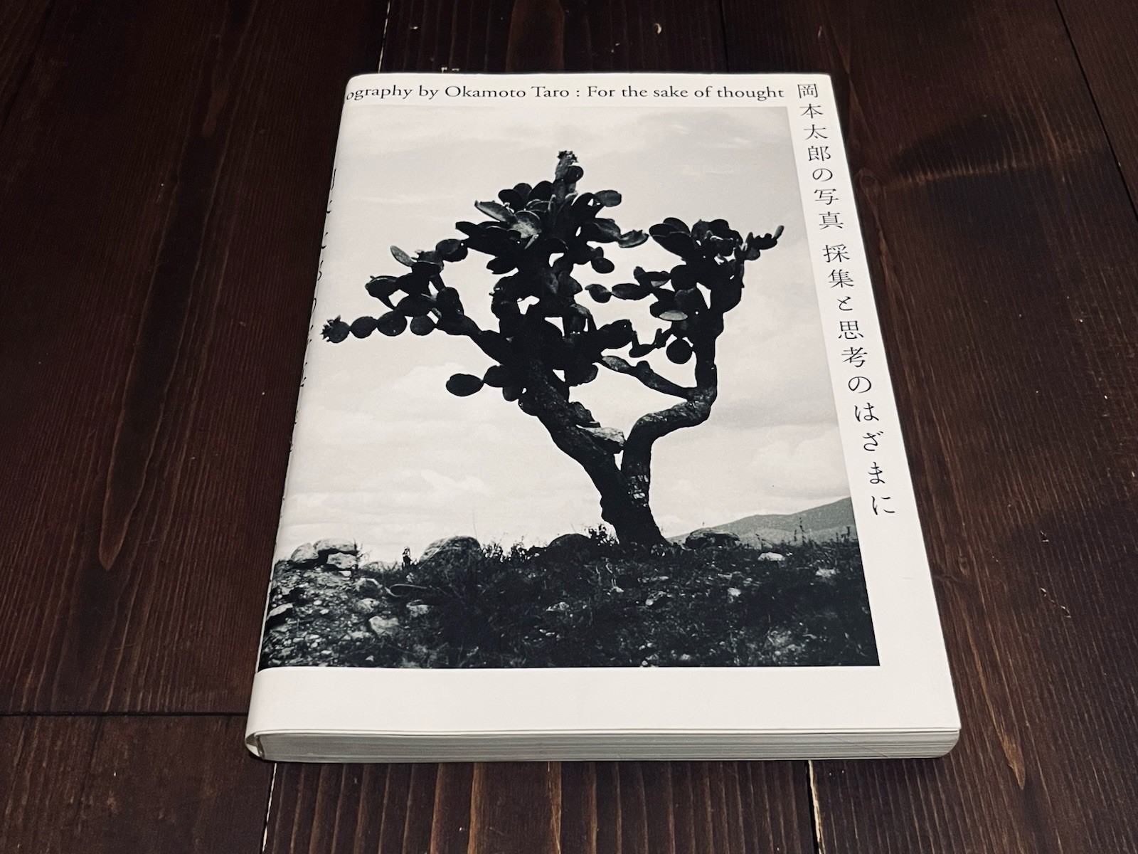 TARO OKAMOTO FOR THE SAKE OF THOUGHT PHOTO EXHIBITION CATALOG BOOK 2018 JAPAN