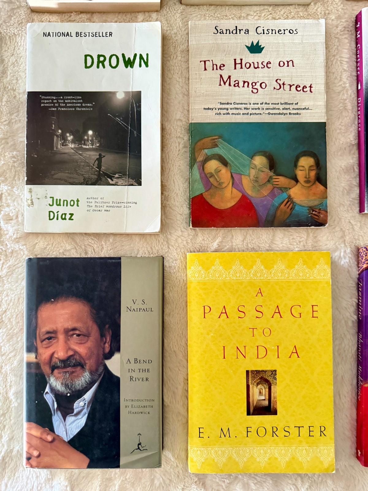Postcolonial World Literature Book Lot Achebe Said Fanon Adichie 18 Books