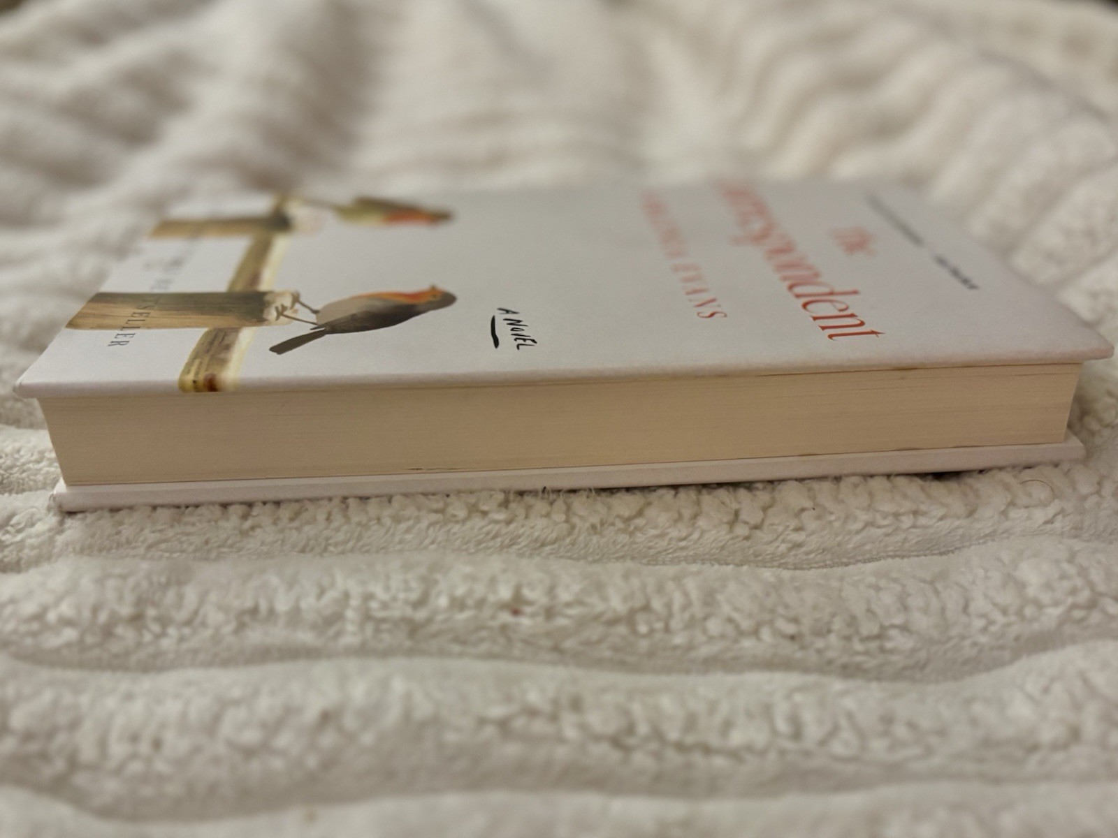 The Correspondent: Novel Hardcover First Edition Excellent Condition