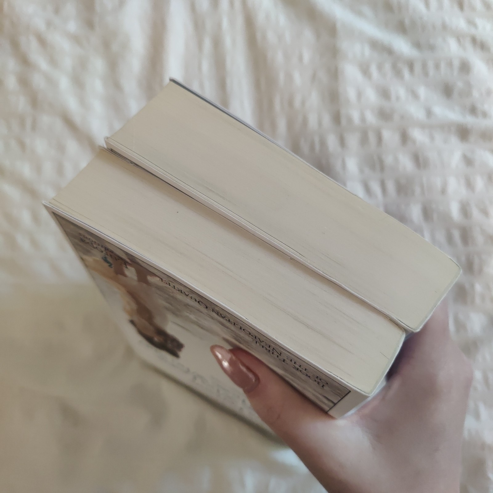 The Neapolitan Novels box set by Elena Ferrante(Europa Editions,trade paperback)