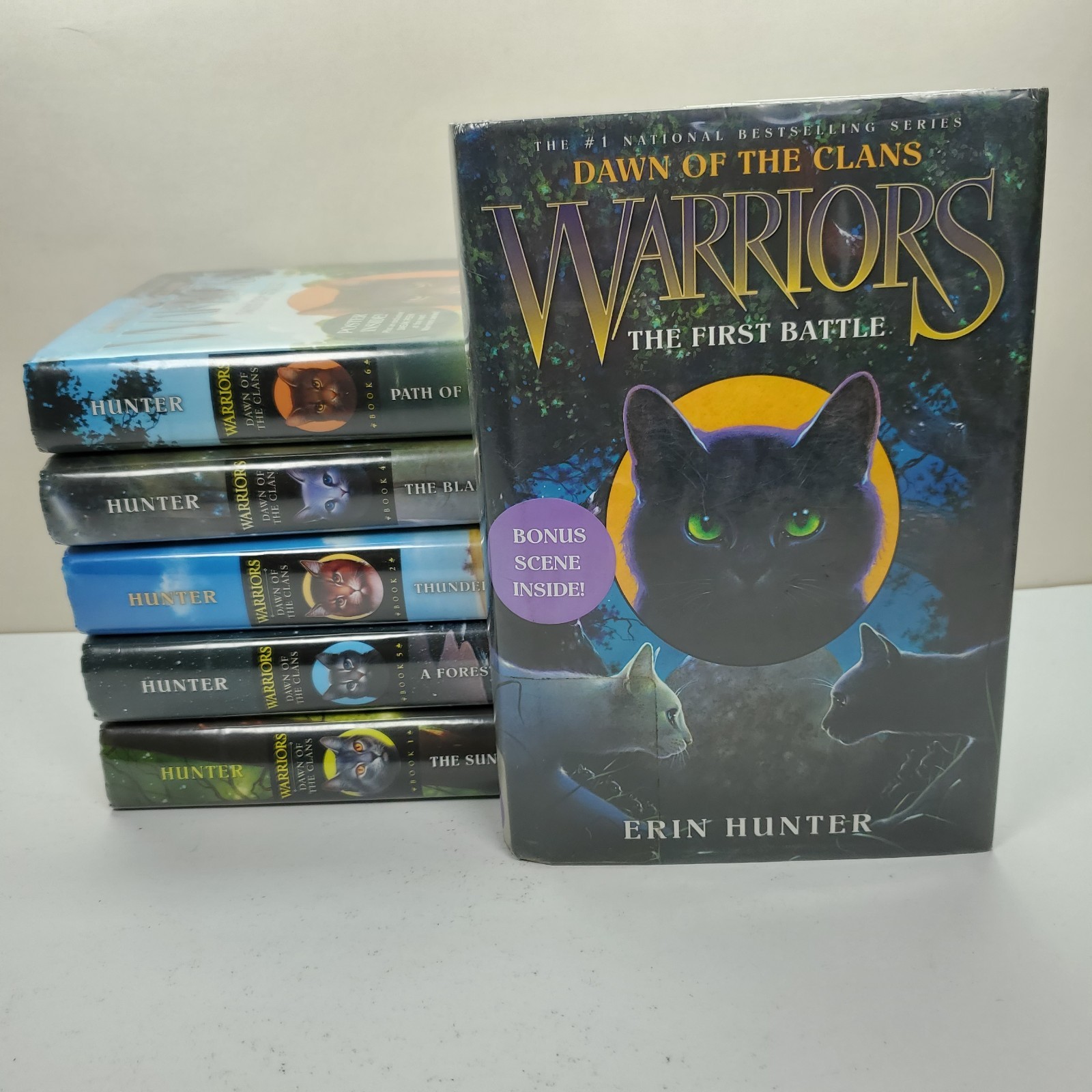 Warriors Series Dawn of the Clans 1-6 Set Hardcover Erin Hunter