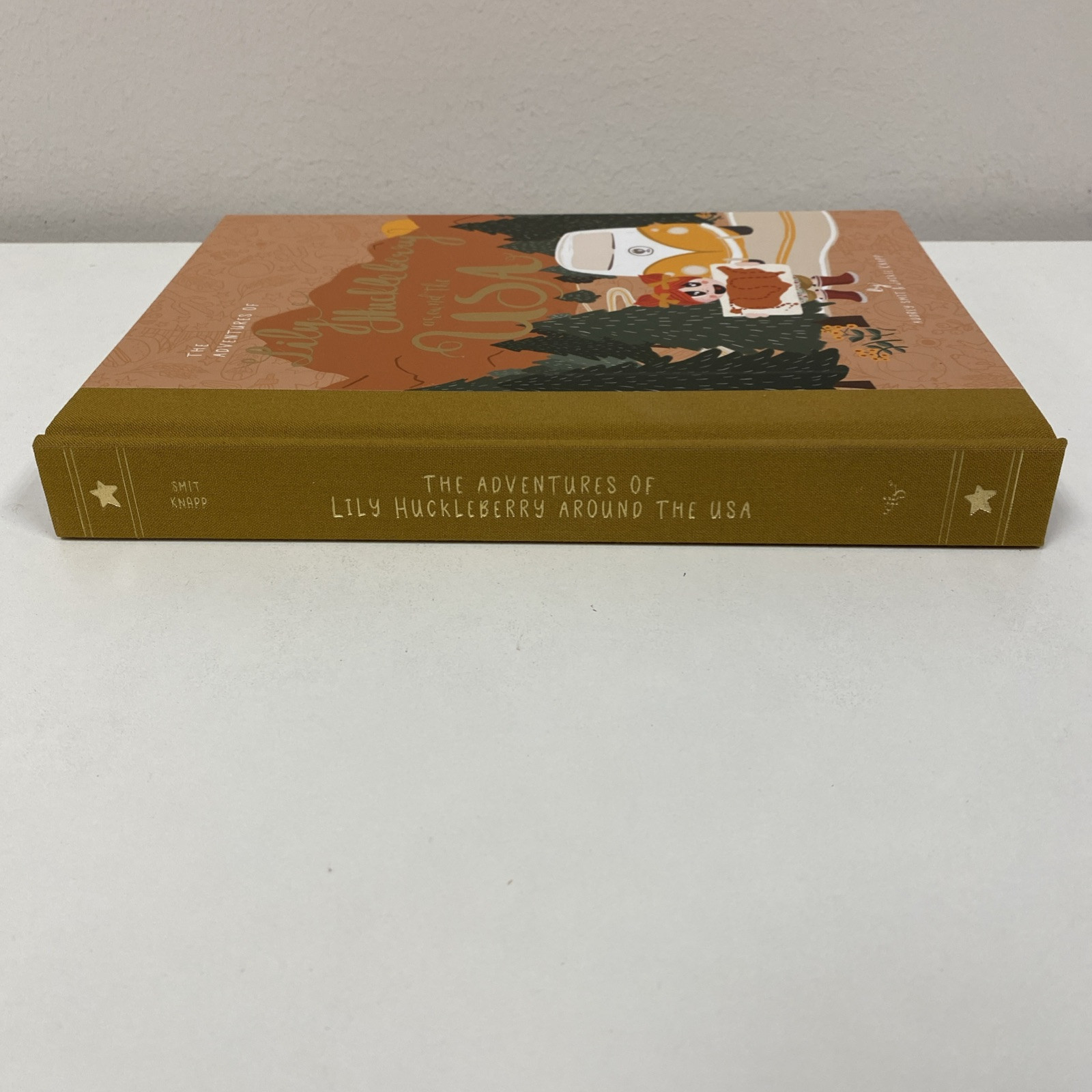 Adventures of Lily Huckleberry Around the USA by Audrey Smit and Jackie Knapp…