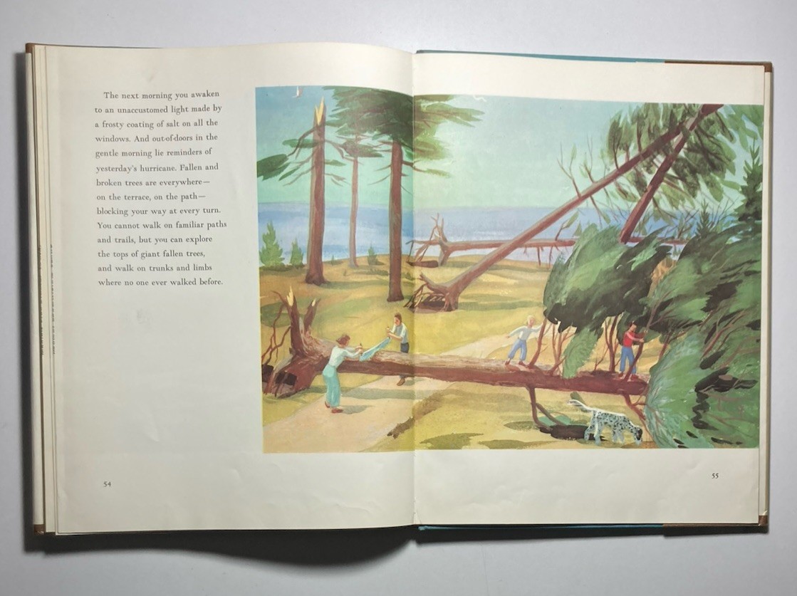 “Time of Wonder” by ROBERT MCCLOSKEY (1957 Hardcover) 4th Printing 1962 LIBRARY