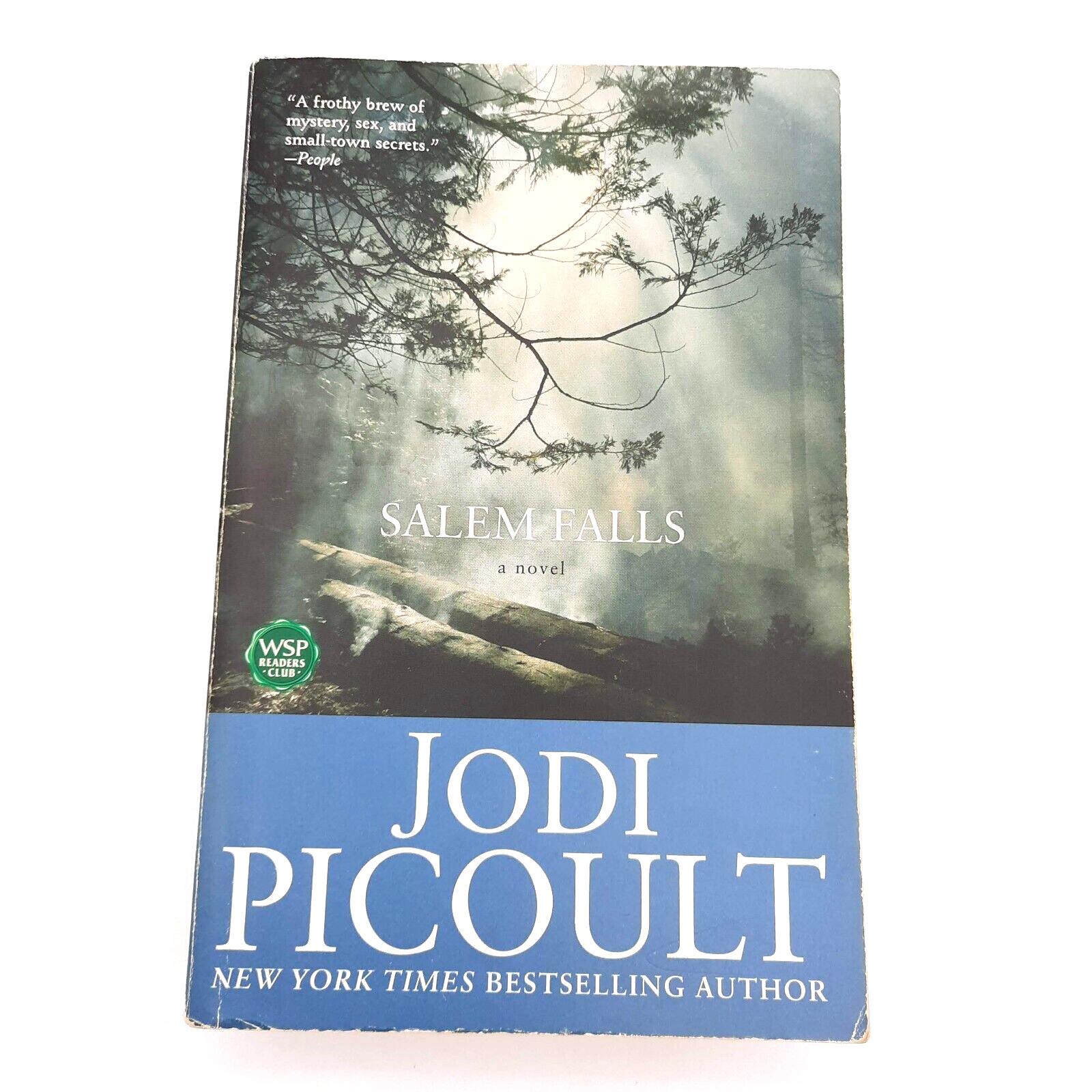 Romance Relationships Jodi Picoult All Larger TPB Lot of 6 Romantic Suspense