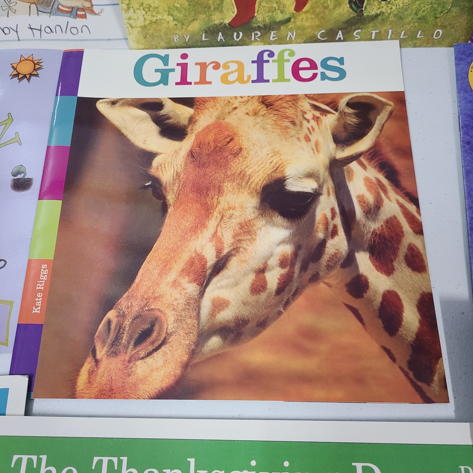 Lot of 12 – Picture Books (10 Accelerated Reader) – Grades 1, 2, 3 – HMH – ELA