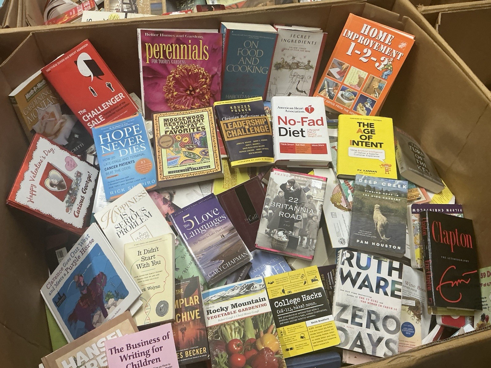 10 Pound Book Lot: Choose Your Genre-Fiction Nonfiction Kids Self-Help History