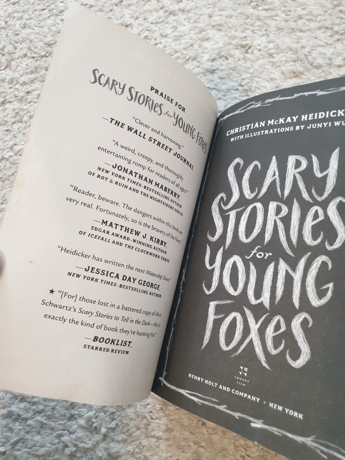 Square Fish Scary Stories for Young Foxes Paperback by Christian McKay Heidicker