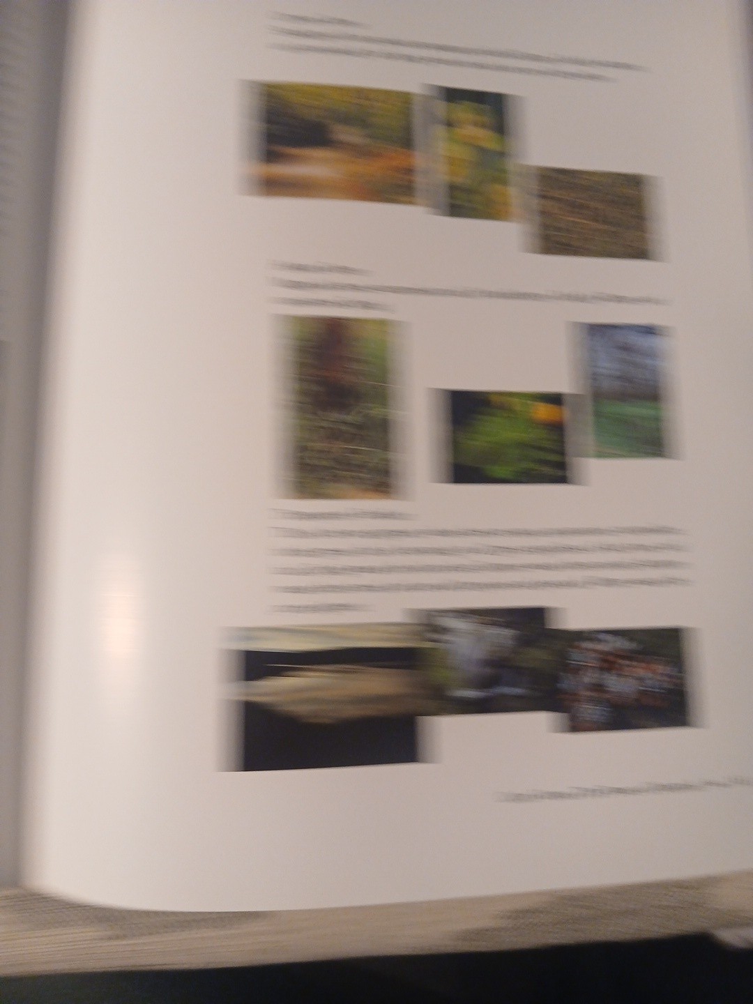 Color The Essence of You by Suzanne Caygill 1st Edition No DJ, SEE DESCRIPTION