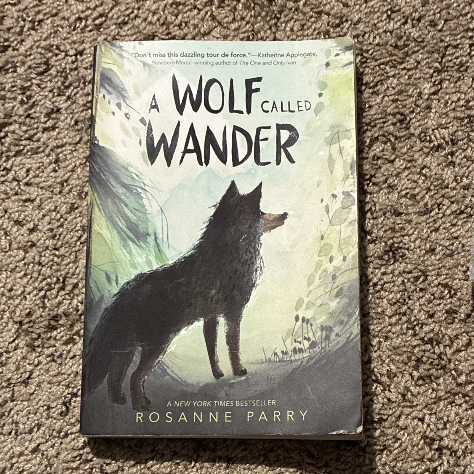 A Wolf Called Wander by Rosanne Parry Paperback Juvenile Fiction 244 pages ￼