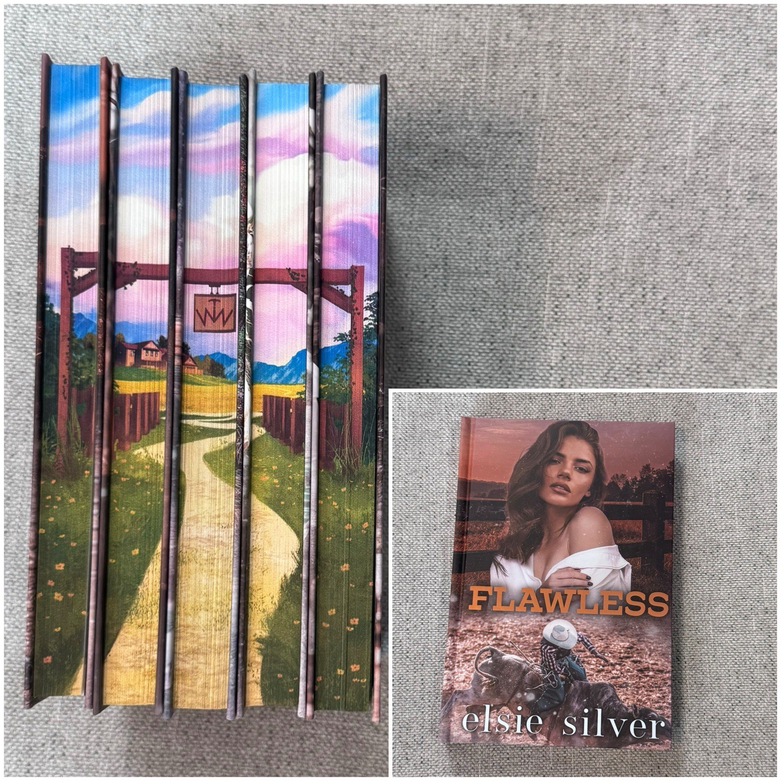 Elsie Silver Chestnut Springs Series Dark & Quirky Book Box Special Edition New