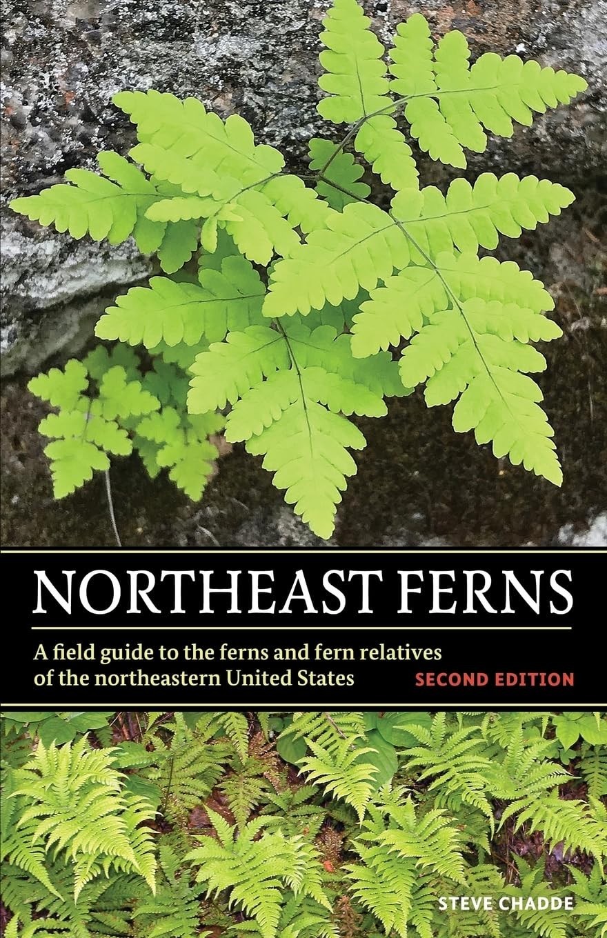 Northeast Ferns : A Field Guide to the Ferns and Fern Relatives of the…