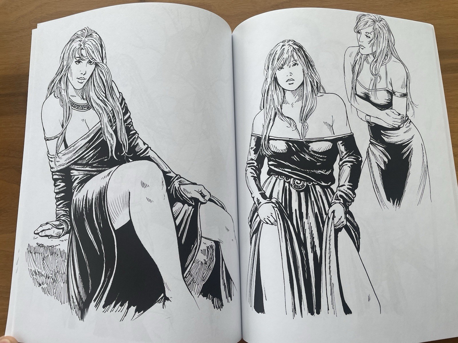 Larry Elmore Black & White Sketchbook – Kickstarter Exclusive PLUS 7 8×11 Prints
