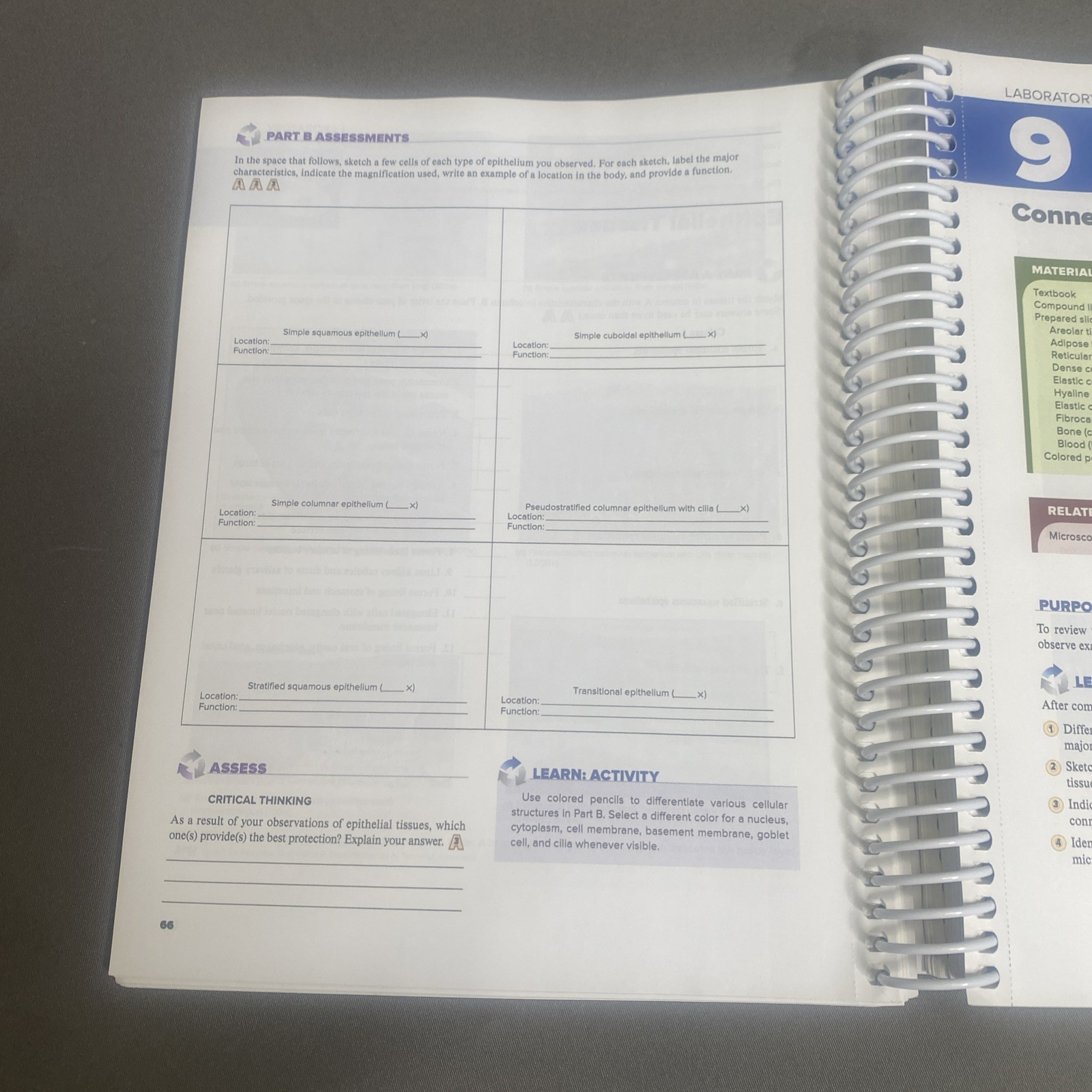 HOLE’S HUMAN ANATOMY+PHYS.-LAB.MANUAL (2024 Edition)