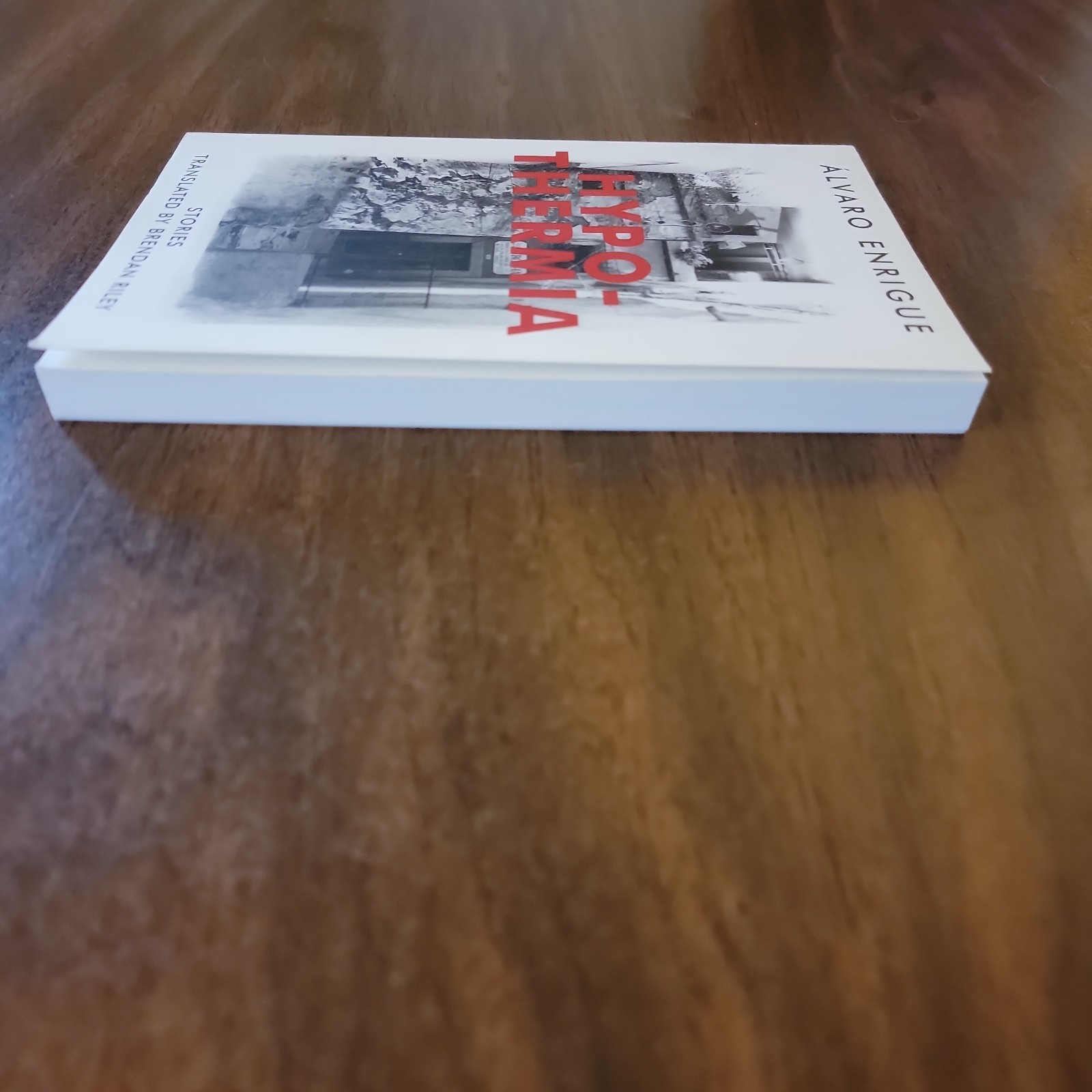 Hypothermia by Alvaro Enrigue (English) – Translate4d by Brendan Riley