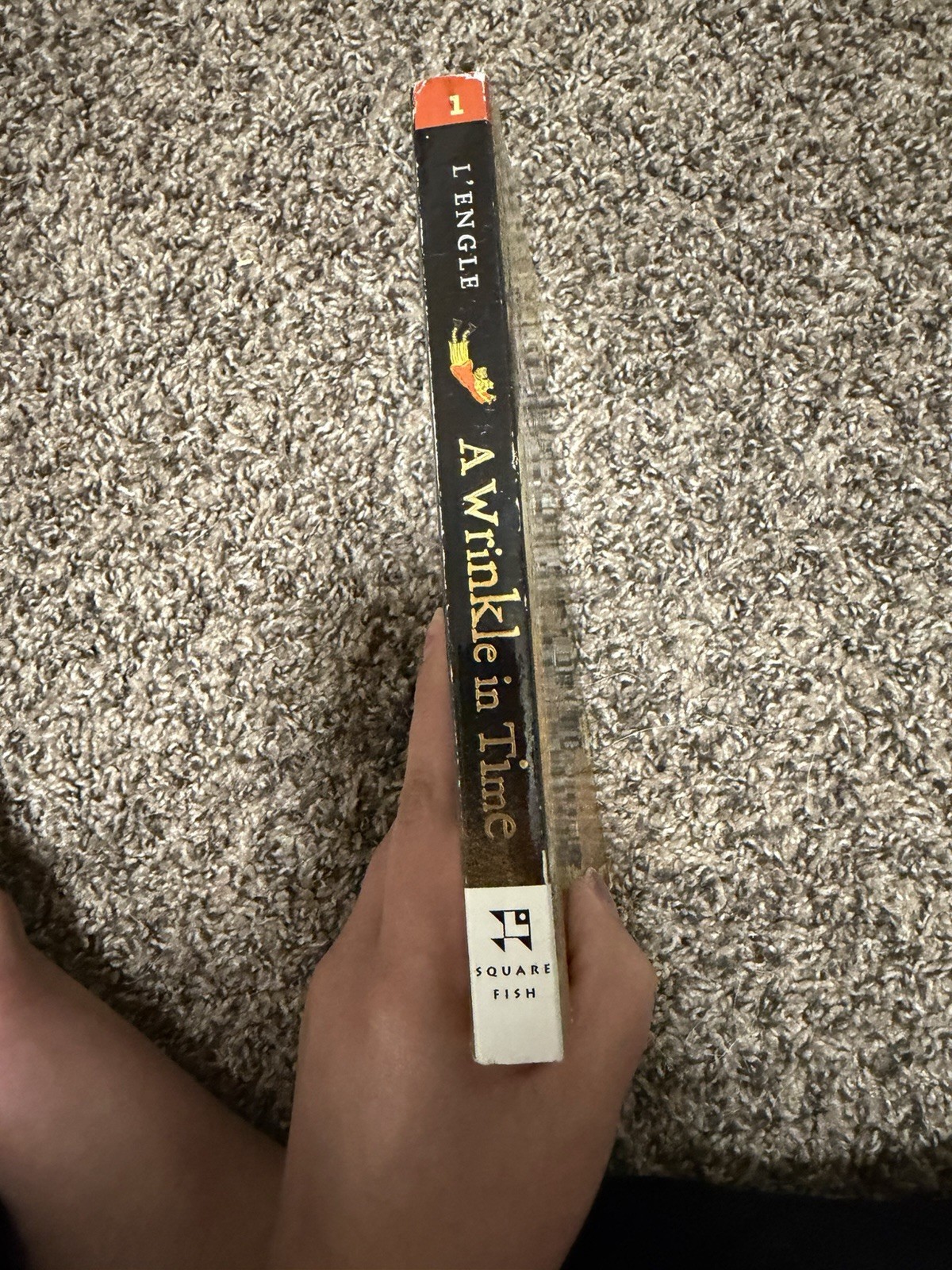 Square Fish A Wrinkle in Time by Madeleine L’Engle (Paperback, Juvenile Fiction…